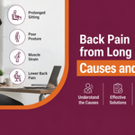 Back Pain from Long Sitting: Causes and Solutions